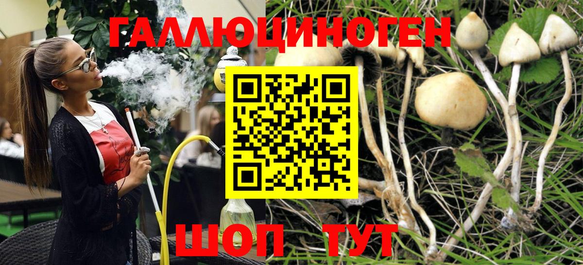Псилоцибиновые грибы ЛСД Североуральск