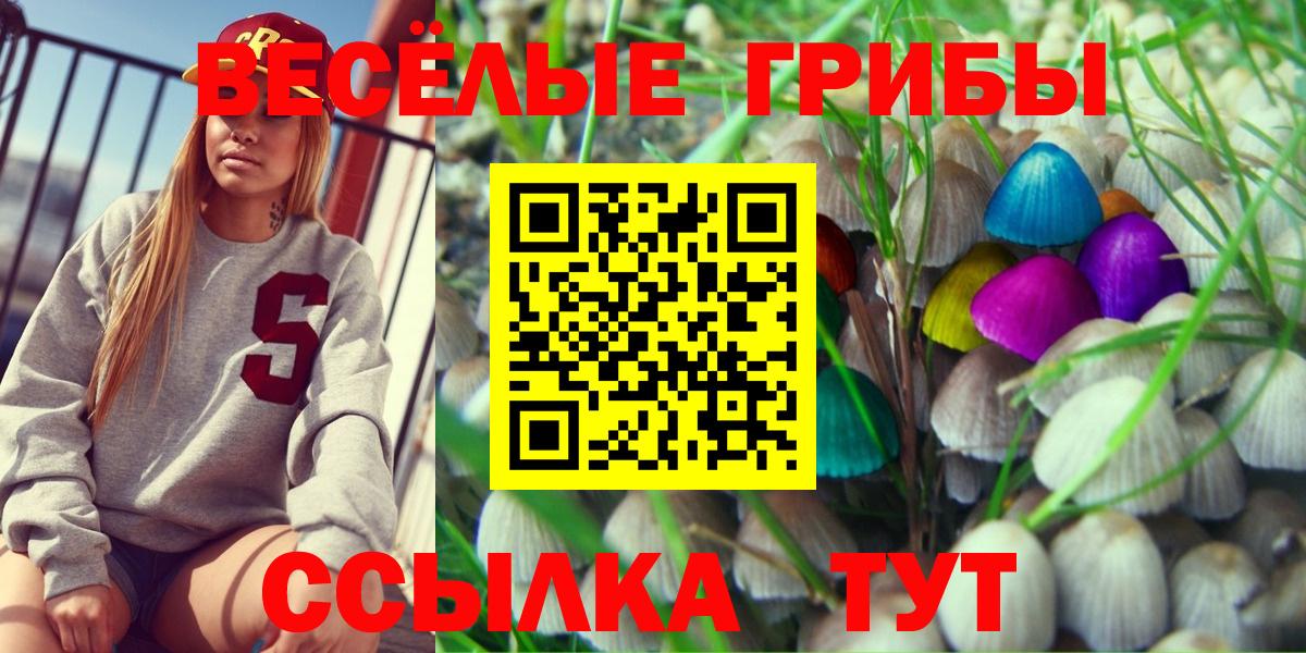Галлюциногенные грибы GOLDEN TEACHER  цены наркотик  Вход с VPN  Североуральск  Псилоцибиновые грибы мухоморы 